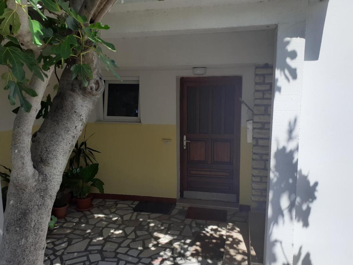 Apartmani Karuza Novalja Zewnętrze zdjęcie